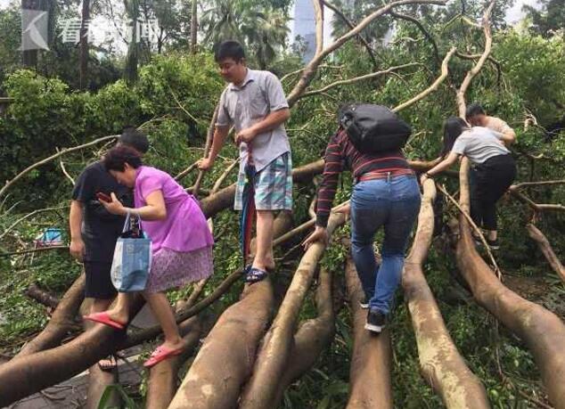 SKM`XL$J9[DG6BONKJU@[~6.jpg SKM`XL$J9[DG6BONKJU@[~6.jpg